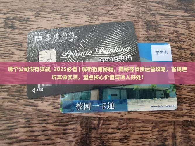 哪个公司没有贷款