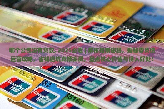 哪个公司没有贷款