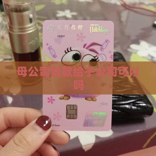 子公司使用母公司贷款