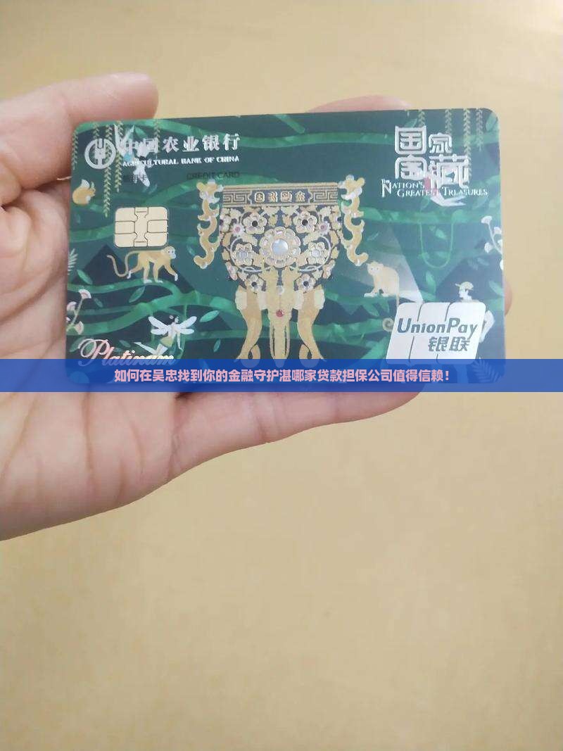如何在吴忠找到你的金融守护湛哪家贷款担保公司值得信赖！