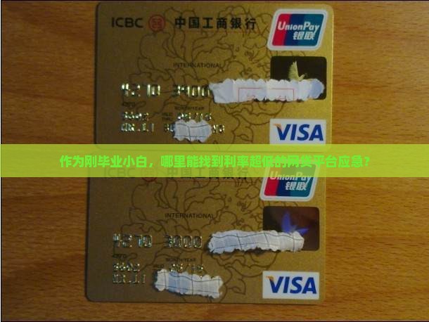 作为刚毕业小白，哪里能找到利率超低的网贷平台应急？