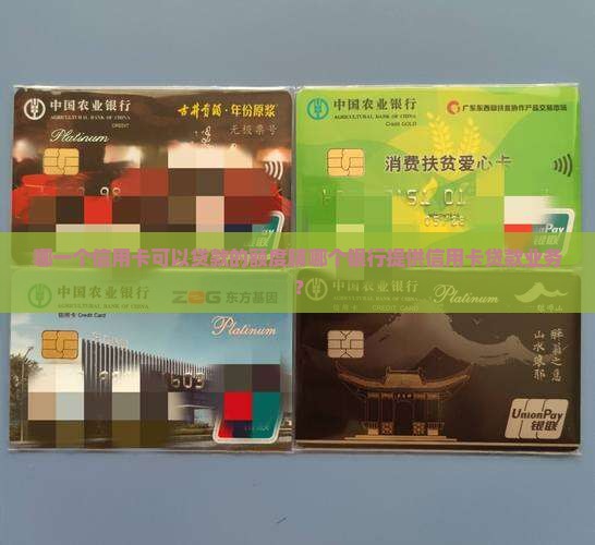 哪一个信用卡可以贷款的额度脯哪个银行提供信用卡贷款业务？
