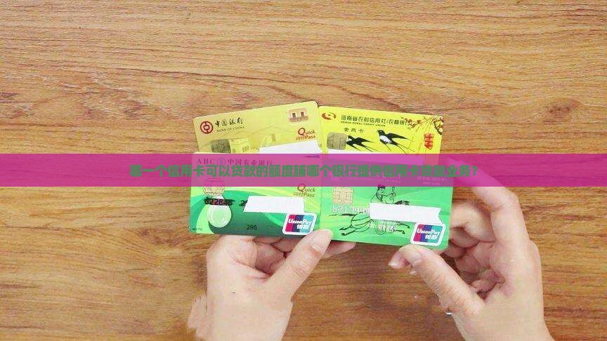 哪一个信用卡可以贷款的额度脯哪个银行提供信用卡贷款业务？