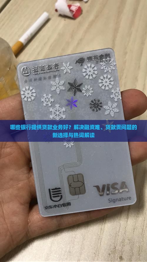 哪些银行提供贷款业务好？解决融资难、贷款贵问题的新选择与热词解读