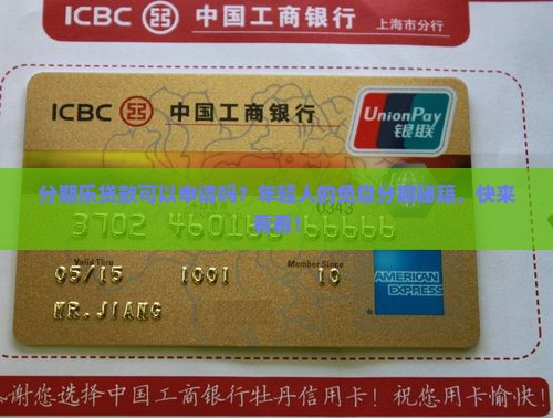 分期乐贷款可以申请吗？年轻人的免息分期秘籍，快来看看！