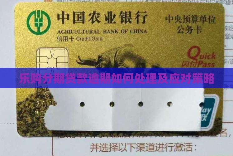 乐购分期贷款逾期如何处理及应对策略