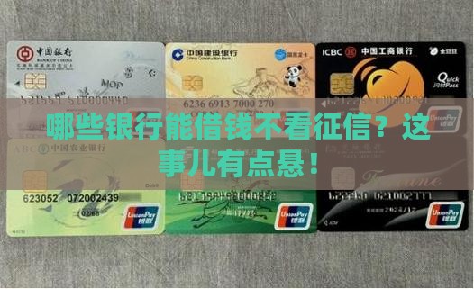 哪些银行能借钱不看征信？这事儿有点悬！