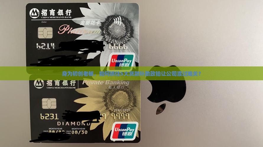 身为初创老板，如何抓住5大贷款补助政铂让公司渡过难关？