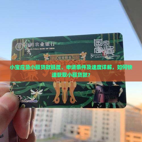 小宝应急小额贷款额度、申请条件及速度详解，如何快速获取小额贷款？
