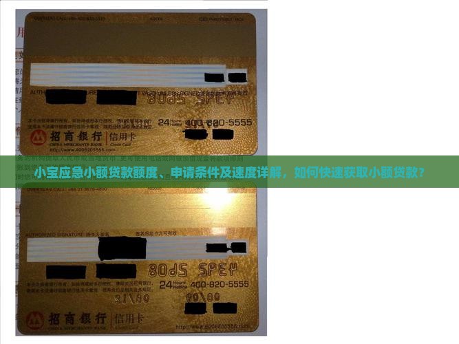 小宝应急小额贷款额度、申请条件及速度详解，如何快速获取小额贷款？
