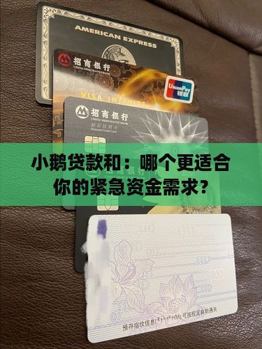 小鹅贷款和：哪个更适合你的紧急资金需求？