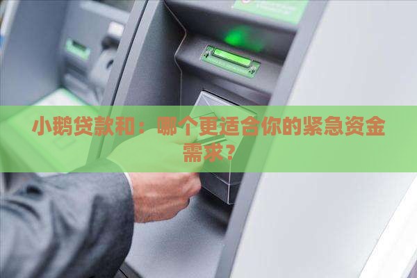 小鹅贷款和：哪个更适合你的紧急资金需求？