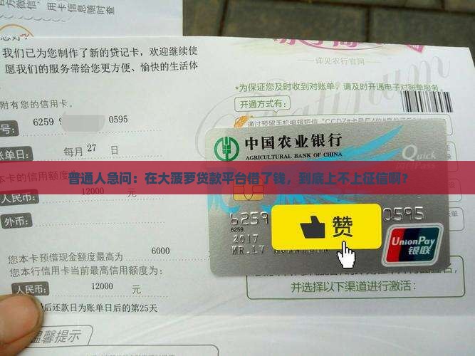 普通人急问：在大菠萝贷款平台借了钱，到底上不上征信啊？