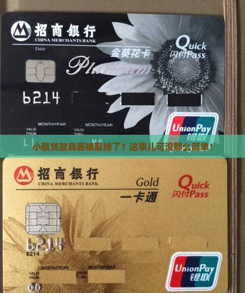 小额贷款真要被取缔了？这事儿可没那么简单！