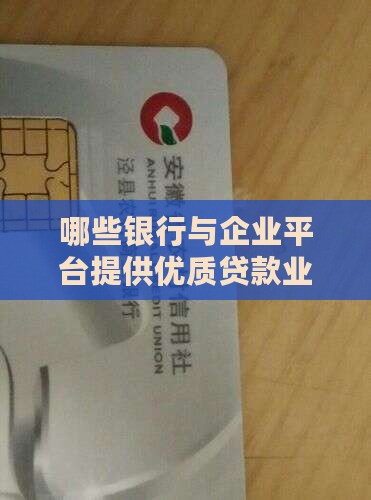 哪些银行与企业平台提供优质贷款业务？