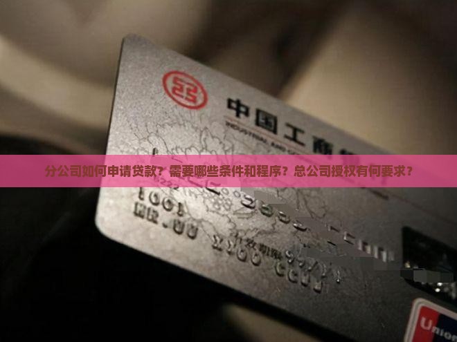 分公司如何申请贷款？需要哪些条件和程序？总公司授权有何要求？