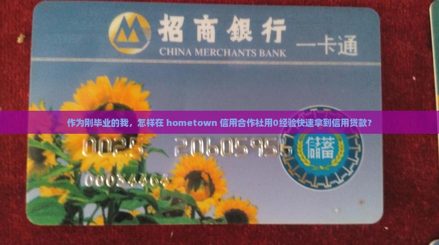 作为刚毕业的我，怎样在 hometown 信用合作社用0经验快速拿到信用贷款？