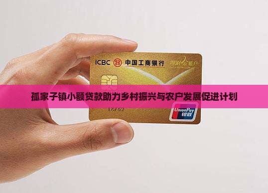 孤家子镇小额贷款助力乡村振兴与农户发展促进计划