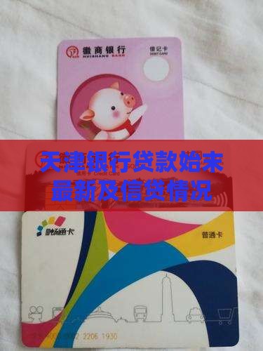 天津银行贷款始末最新及信贷情况