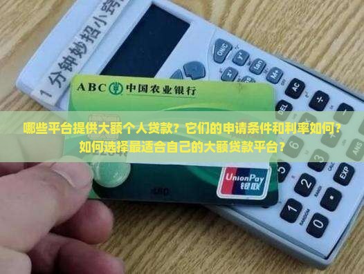 哪些平台提供大额个人贷款？它们的申请条件和利率如何？如何选择最适合自己的大额贷款平台？