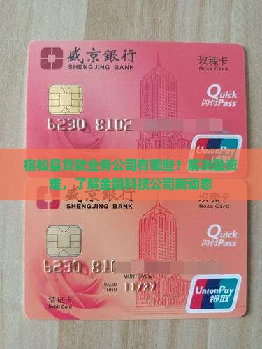 宿松县贷款业务公司有哪些？解决融资难，了解金融科技公司新动态