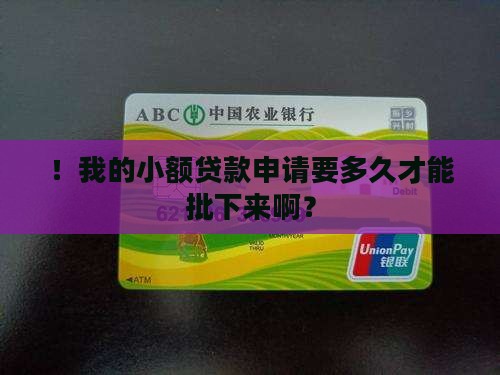 ！我的小额贷款申请要多久才能批下来啊？
