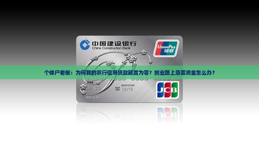 个体户老板：为何我的农行信用贷款额度为零？创业路上急需资金怎么办？