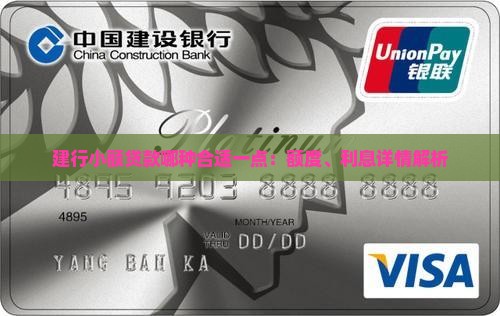 建行小额贷款哪种合适一点：额度、利息详情解析