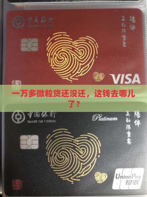 一万多微粒贷还没还，这钱去哪儿了？