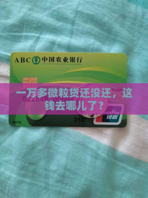 一万多微粒贷还没还，这钱去哪儿了？