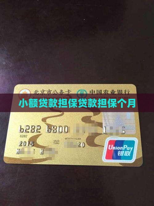 小额贷款担保贷款担保个月