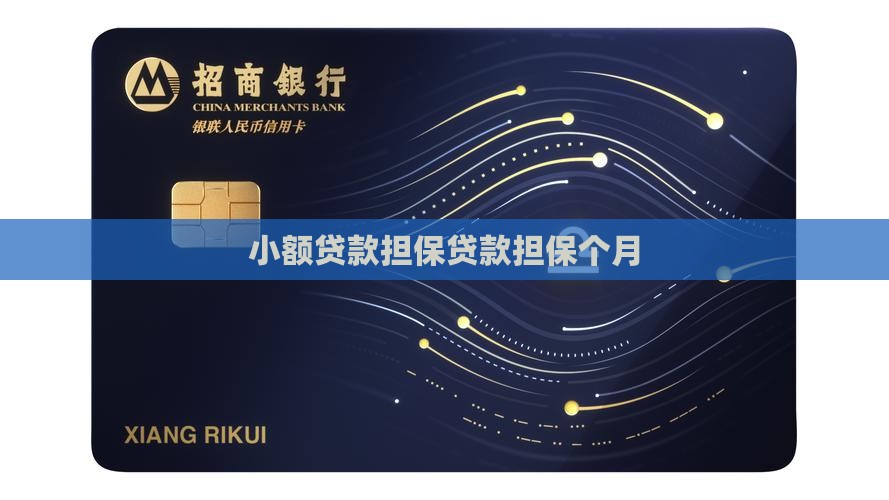 小额贷款担保贷款担保个月