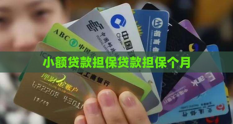 小额贷款担保贷款担保个月