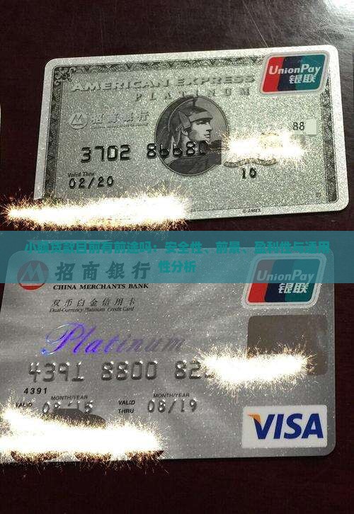 小额贷款目前有前途吗：安全性、前景、盈利性与适用性分析