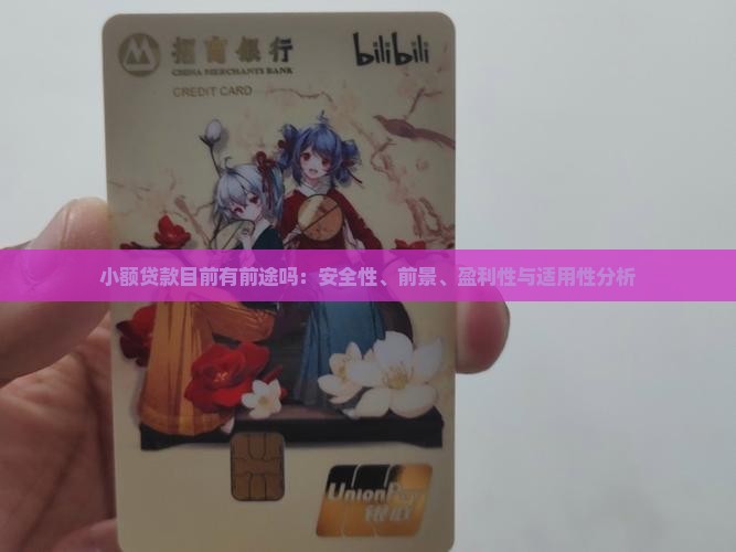 小额贷款目前有前途吗：安全性、前景、盈利性与适用性分析