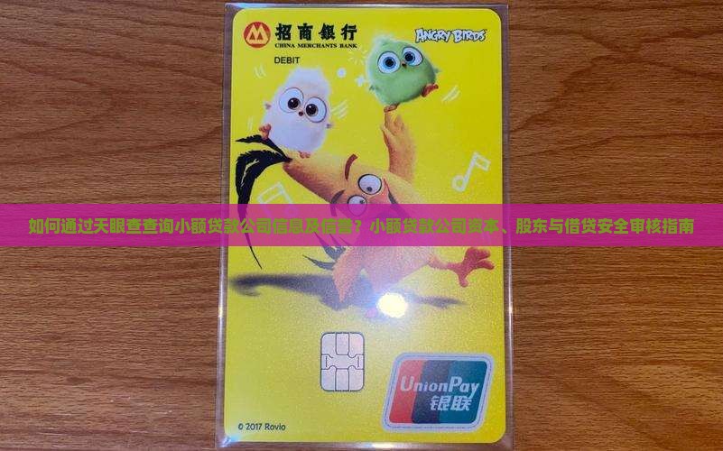 如何通过天眼查查询小额贷款公司信息及信誉？小额贷款公司资本、股东与借贷安全审核指南