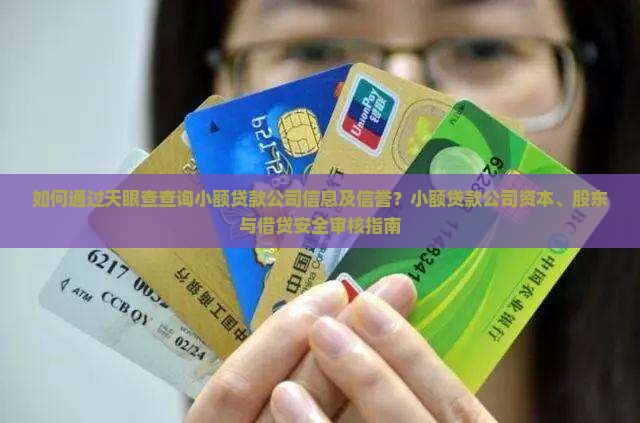 如何通过天眼查查询小额贷款公司信息及信誉？小额贷款公司资本、股东与借贷安全审核指南