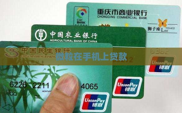 微粒在手机上贷款