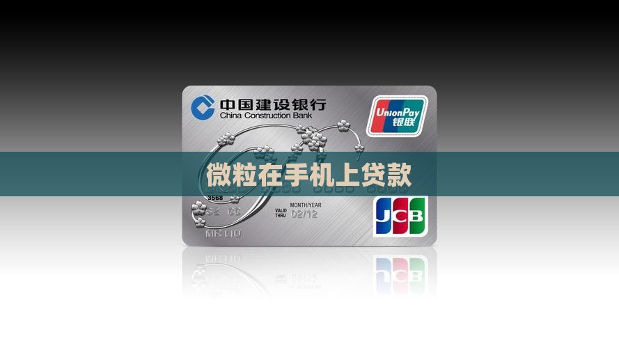 微粒在手机上贷款