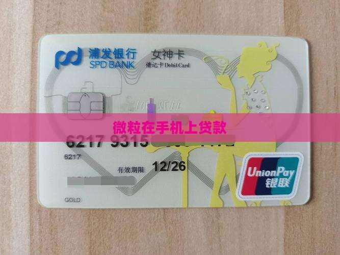 微粒在手机上贷款