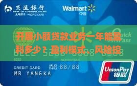 开展小额贷款业务一年能盈利多少？盈利模式、风险控制与收益分析