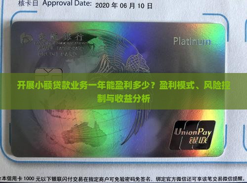 开展小额贷款业务一年能盈利多少？盈利模式、风险控制与收益分析