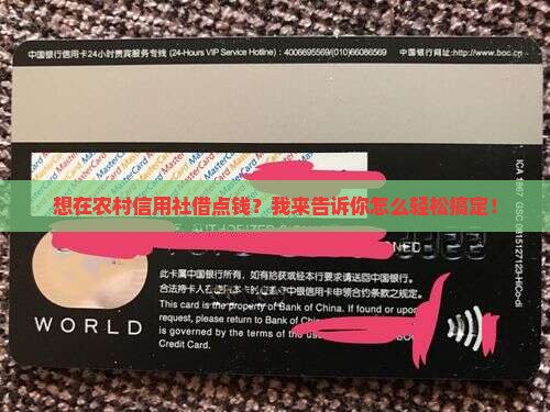 想在农村信用社借点钱？我来告诉你怎么轻松搞定！