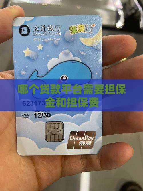 哪个贷款平台需要担保金和担保费