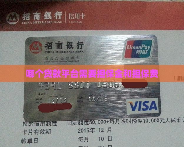 哪个贷款平台需要担保金和担保费