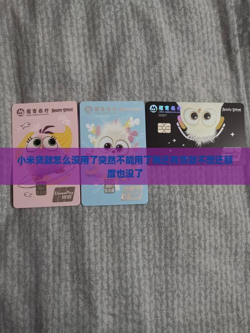 小米贷款怎么没用了突然不能用了我还有贷款不想还额度也没了