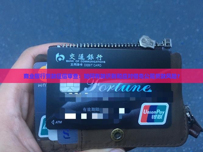 商业银行贷款征信审查：如何有效识别和应对借壳公司贷款风险？