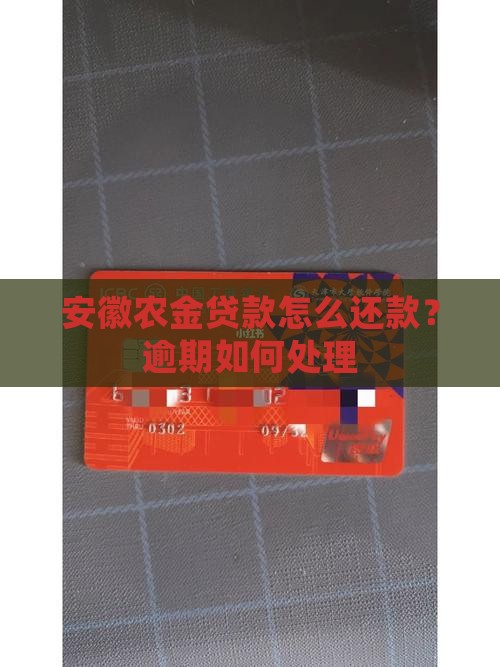 安徽农金贷款怎么还款？逾期如何处理