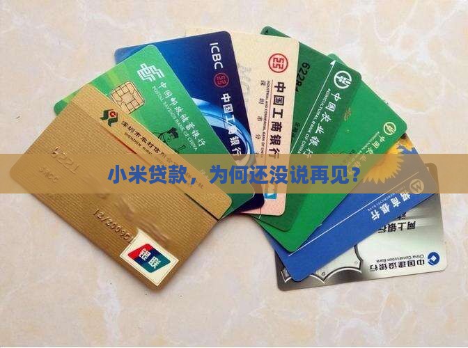 小米贷款，为何还没说再见？