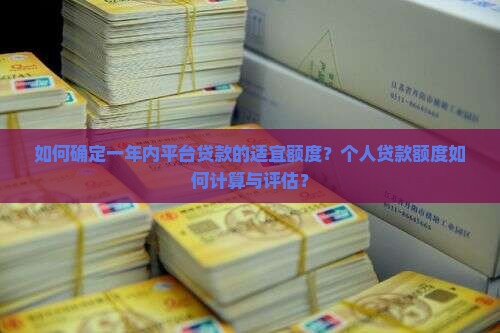 如何确定一年内平台贷款的适宜额度？个人贷款额度如何计算与评估？